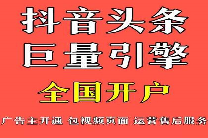 百度广告投放策略与效果评估案例